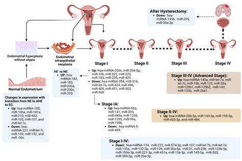 stage 1a endometrial cancer prognosis